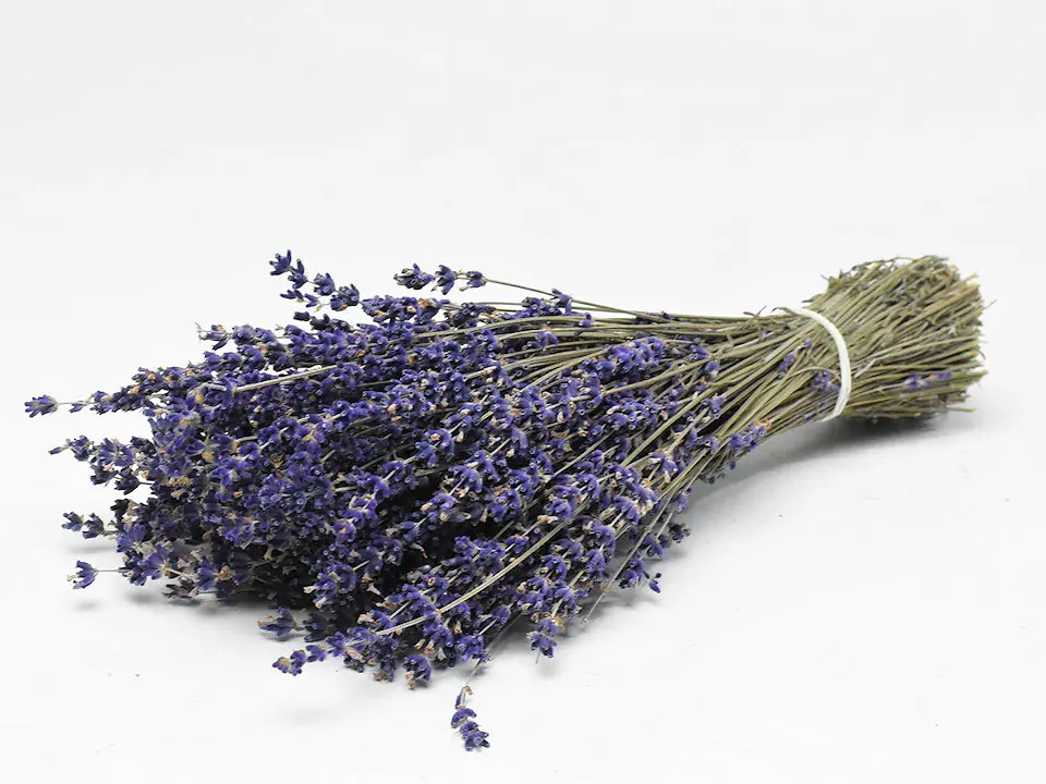 Bouquet Lavande 70 g, 25-30 cm