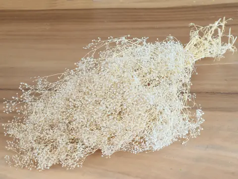 Gypsophila 35 cm