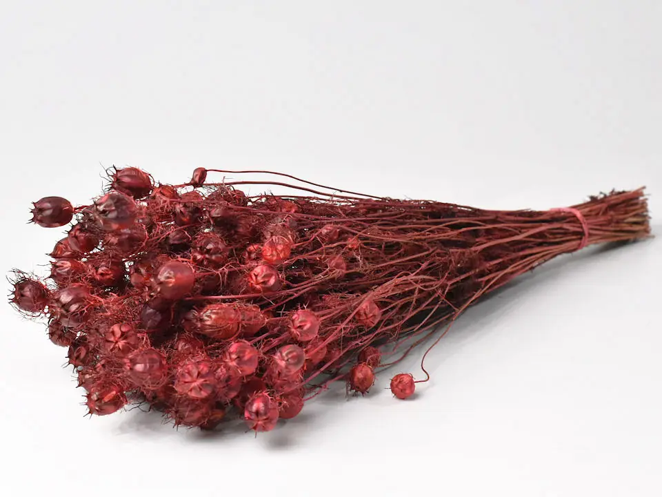 Bouquet Nigella Rouge 45 cm