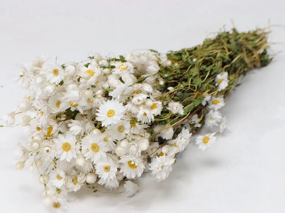 Bouquet Rhodante Blanc 40 cm
