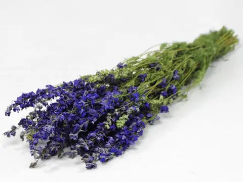 Bouquet Delphinium Bleu 65 cm
