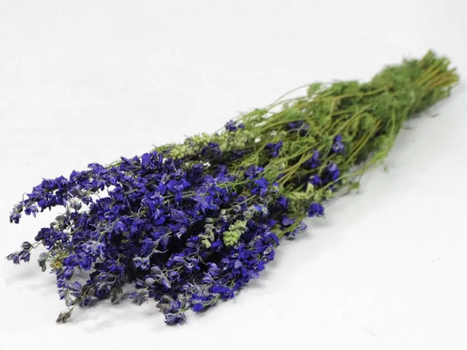 Bouquet Delphinium Bleu 65 cm