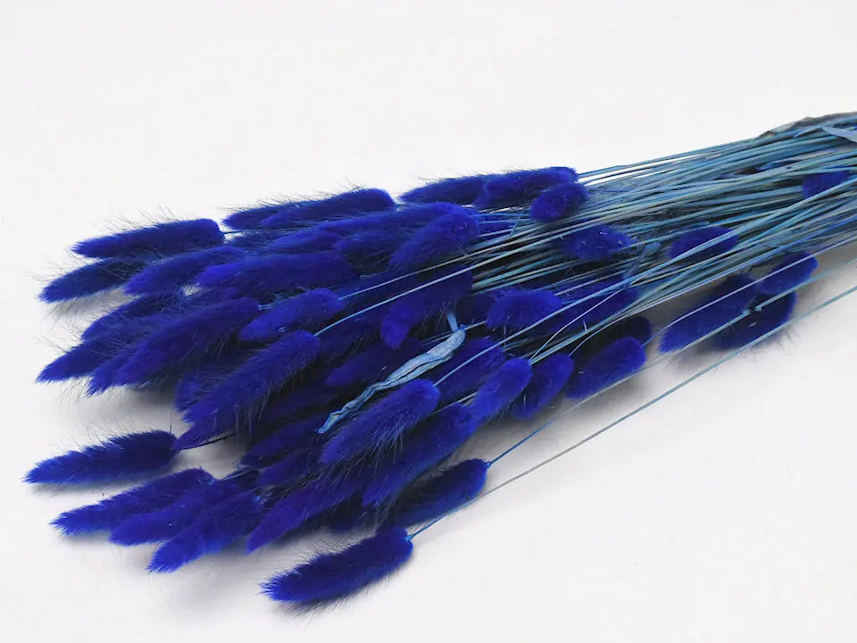 Bouquet Lagurus Bleu 60 cm