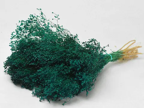 Bouquet Broom bloom Vert Émeraude 50 cm