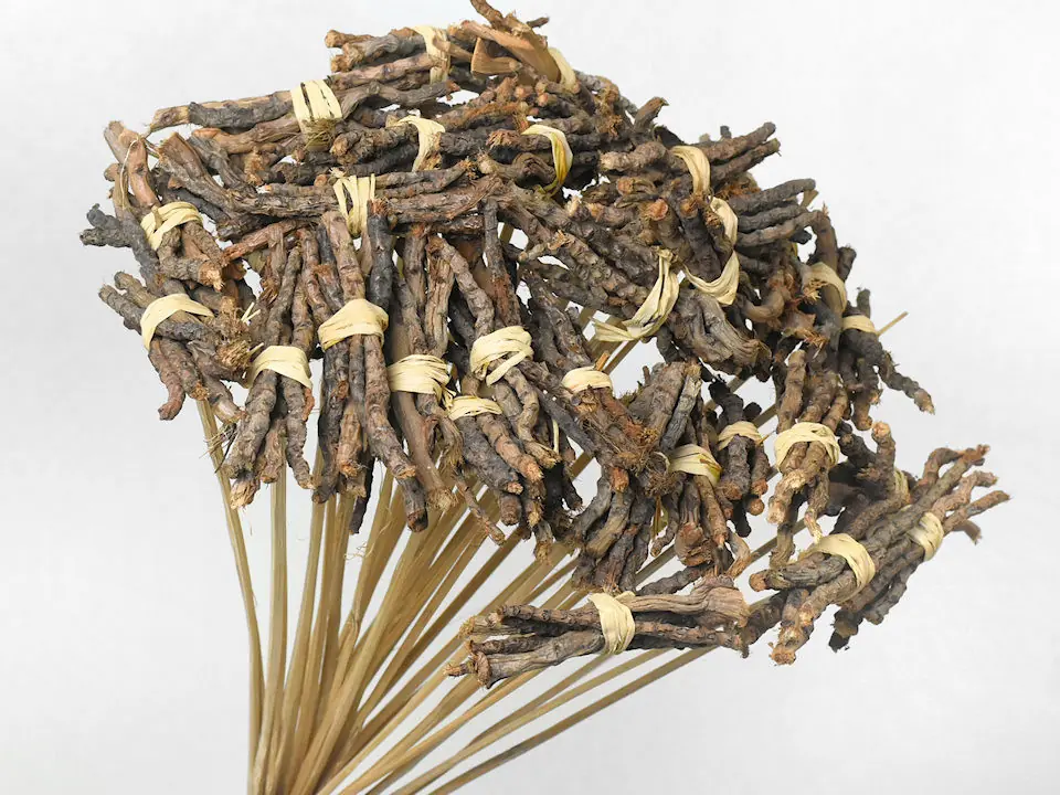 Paquet de Branches sur 50 cm tige · lot de 10