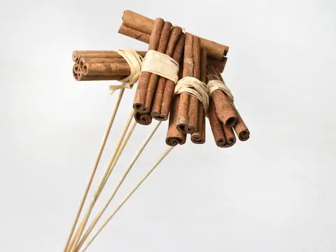 Cannelle sur tige · lot de 5