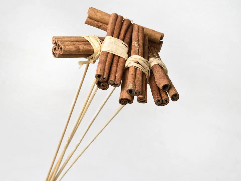Cannelle sur tige · lot de 5