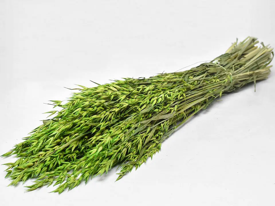 Bouquet Avoine Vert 70 cm