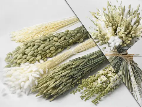 DIY Bouquet de Fleurs Séchées Blanc/Naturel XL