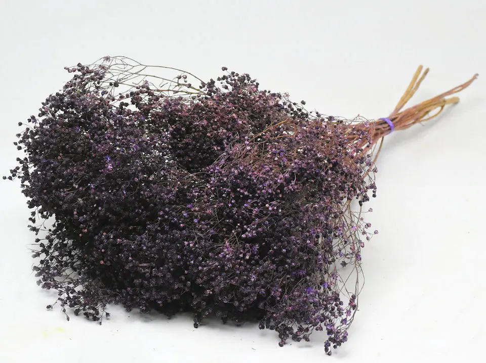 Bouquet Broom bloom Violet 50 cm