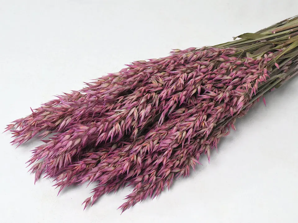 Bouquet Avoine Rose 70 cm