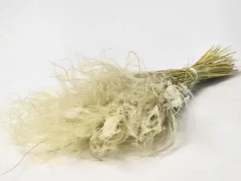 Stipa Penata 50 g