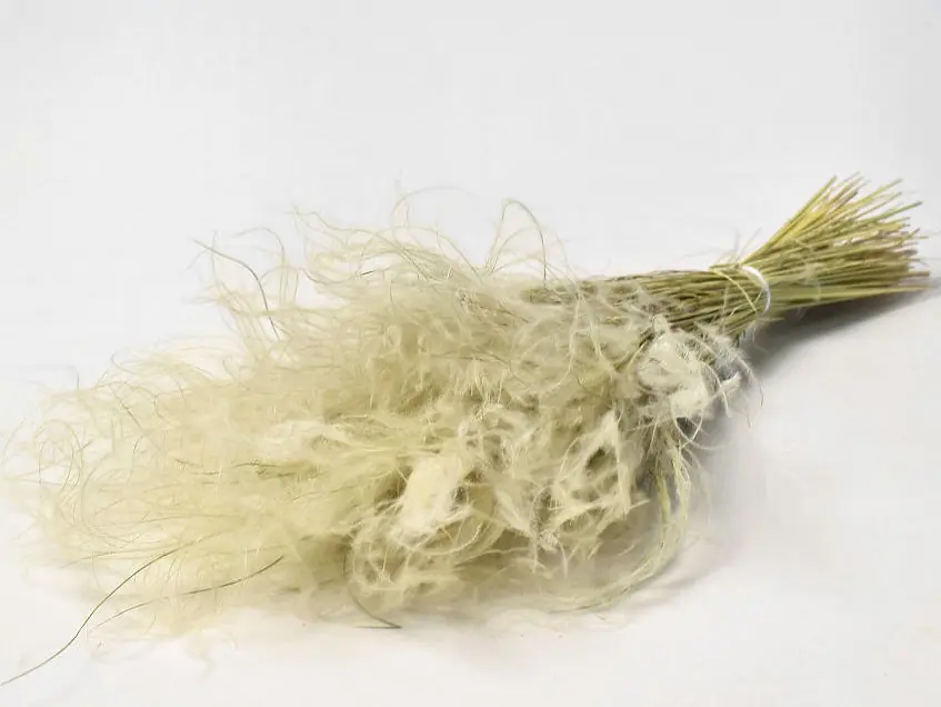 Stipa Penata 50 g