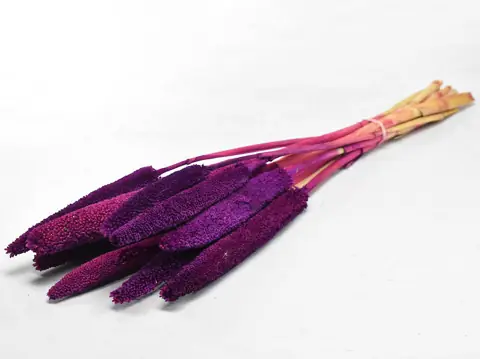 Babala Violet 10 pièces 70 cm