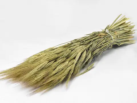 Bouquet Orge 65 cm