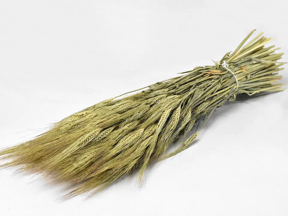 Bouquet Orge 65 cm
