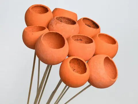 Bell Cup Orange (10 pièces)