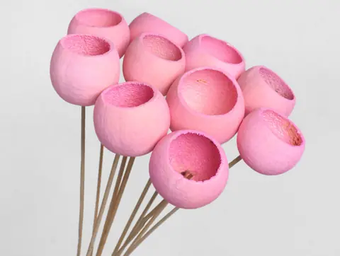 Bell Cup Rose Pastel (10 pièces)