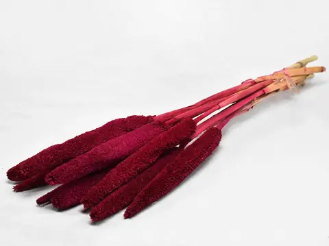 Babala Bordeaux 10 pièces 70 cm