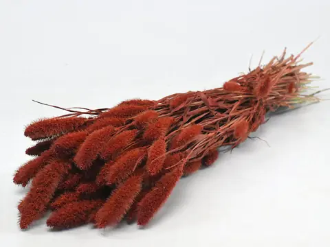 Bouquet Setaria Rouge Rouille 65 cm