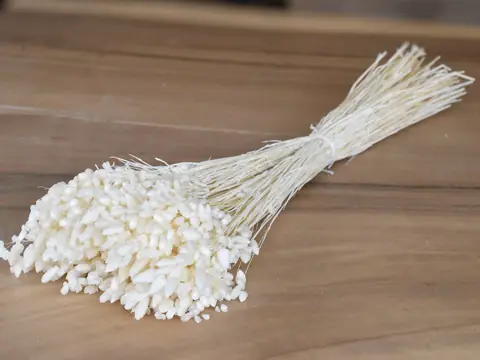 Briza Maxima Blanchi 70 g