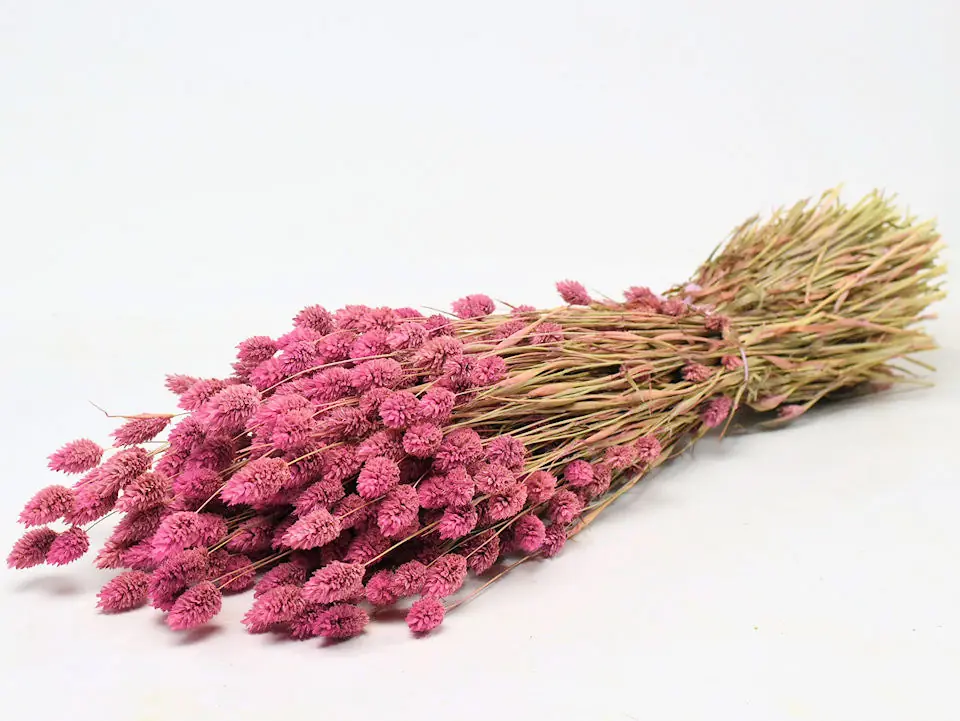 Bouquet Phalaris Rose 70 cm