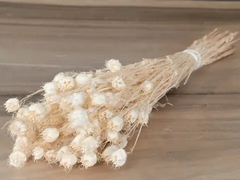 Nigella Blanchi 100 g