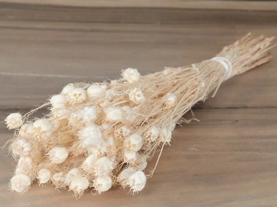 Nigella Blanchi 100 g