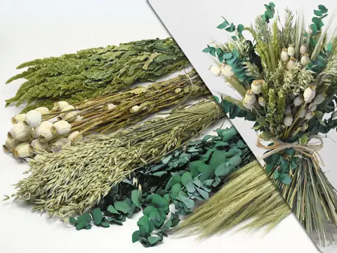 DIY Bouquet de Fleurs Séchées Vert/Naturel XL