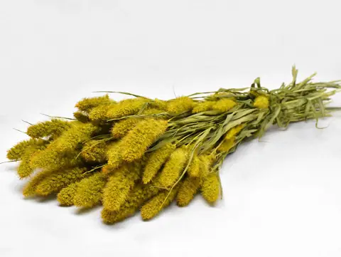 Bouquet Sétaire Jaune 65 cm