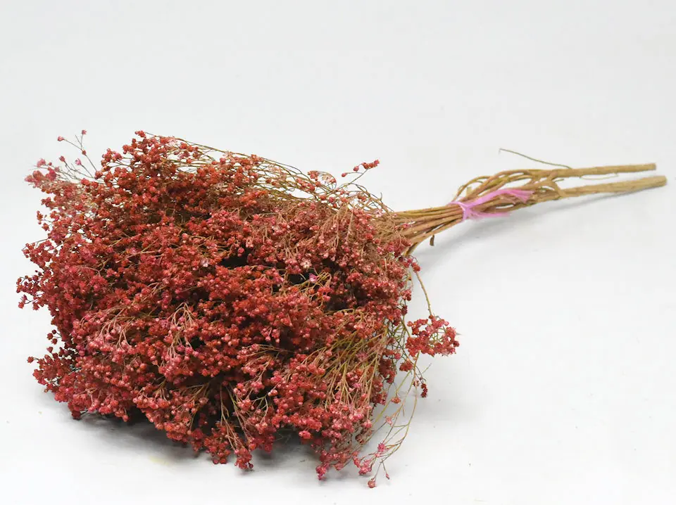 Bouquet Broom bloom Rose 50 cm