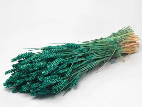 Bouquet Triticum Vert Émeraude (blé) 70 cm