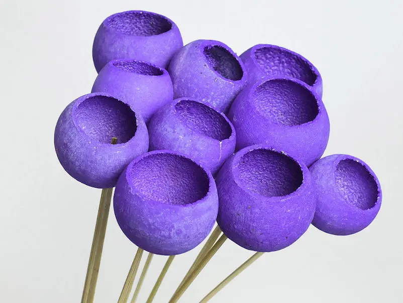 Bell Cup Violet (10 pièces)