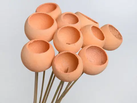 Bell Cup Pêche Pastel (10 pièces)