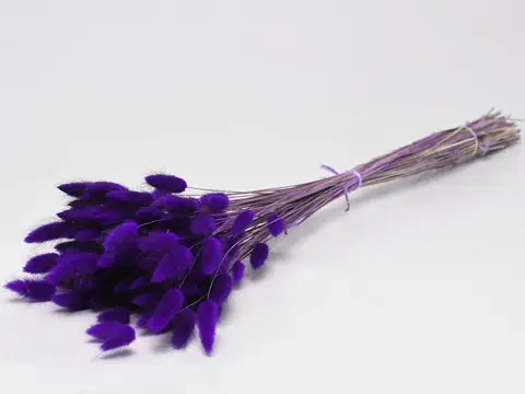 Bouquet Lagurus Violet 65 cm