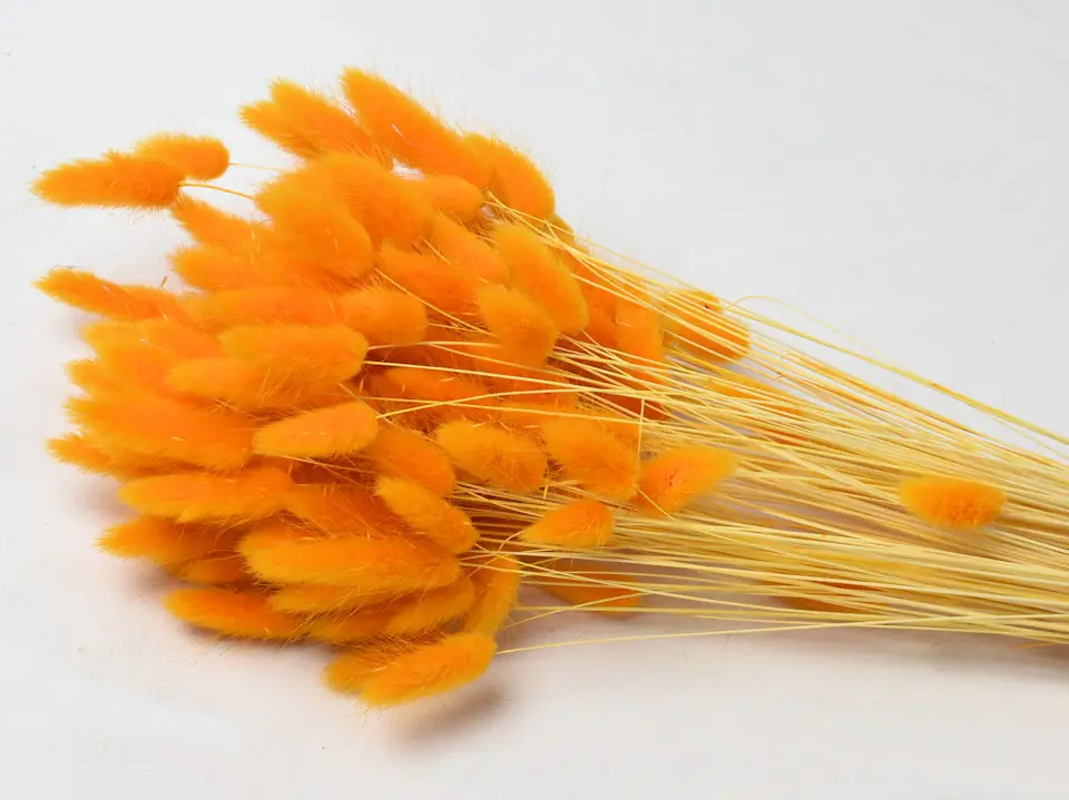 Bouquet Lagurus Orange 65 cm