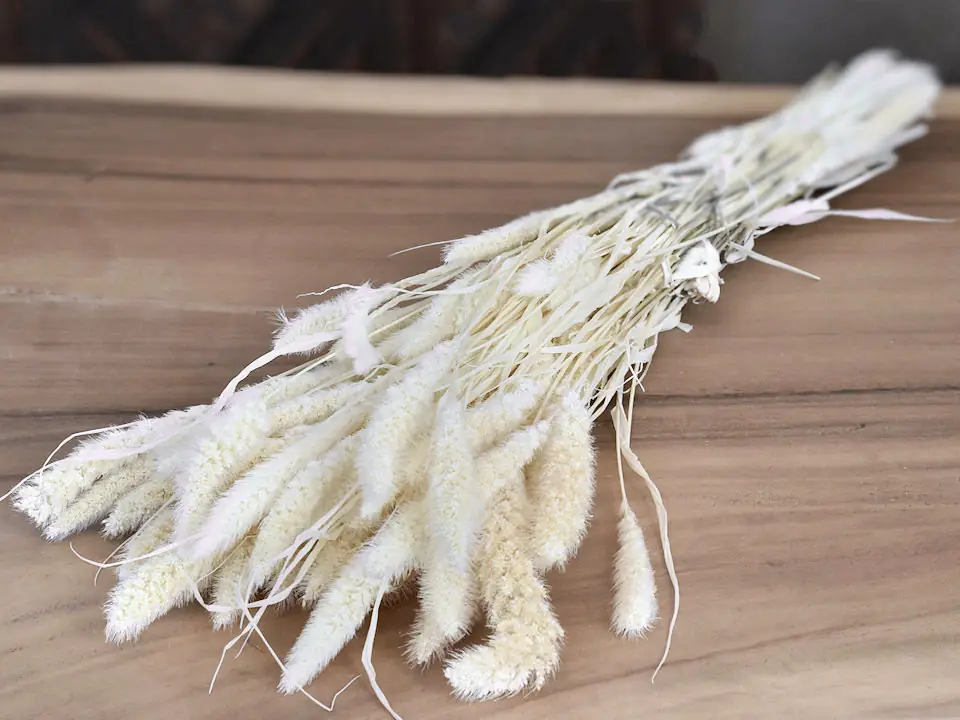 Bouquet Sétaire Blanchi 100 g
