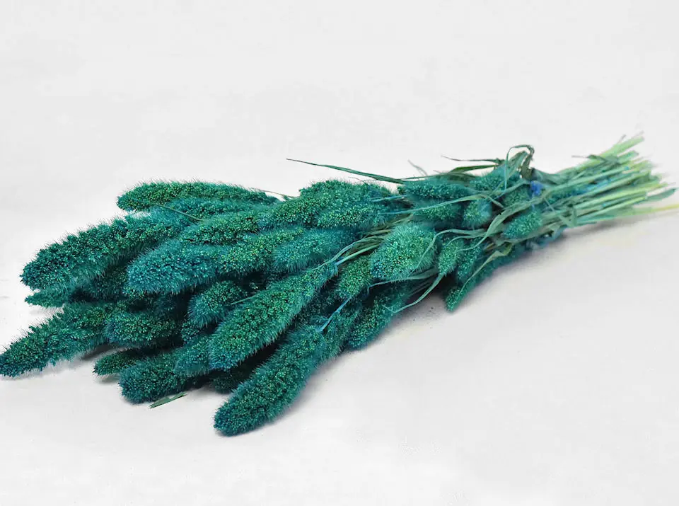 Bouquet Setaria Petrol Bleu 65 cm