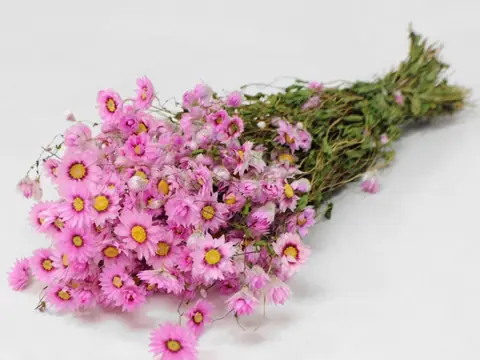 Bouquet Rhodante Rose 50 cm