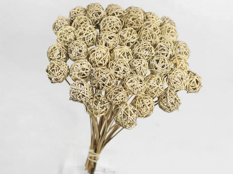Brunch Ball sur tige · lot de 10