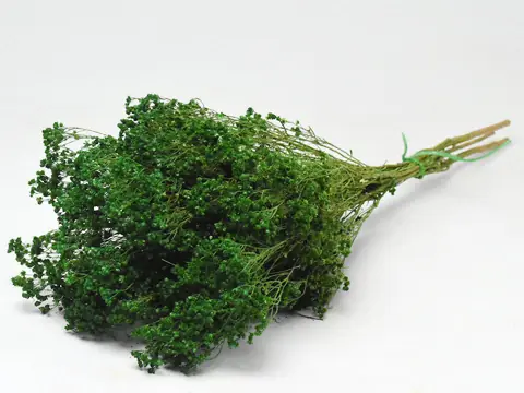 Bouquet Broom bloom Vert 50 cm