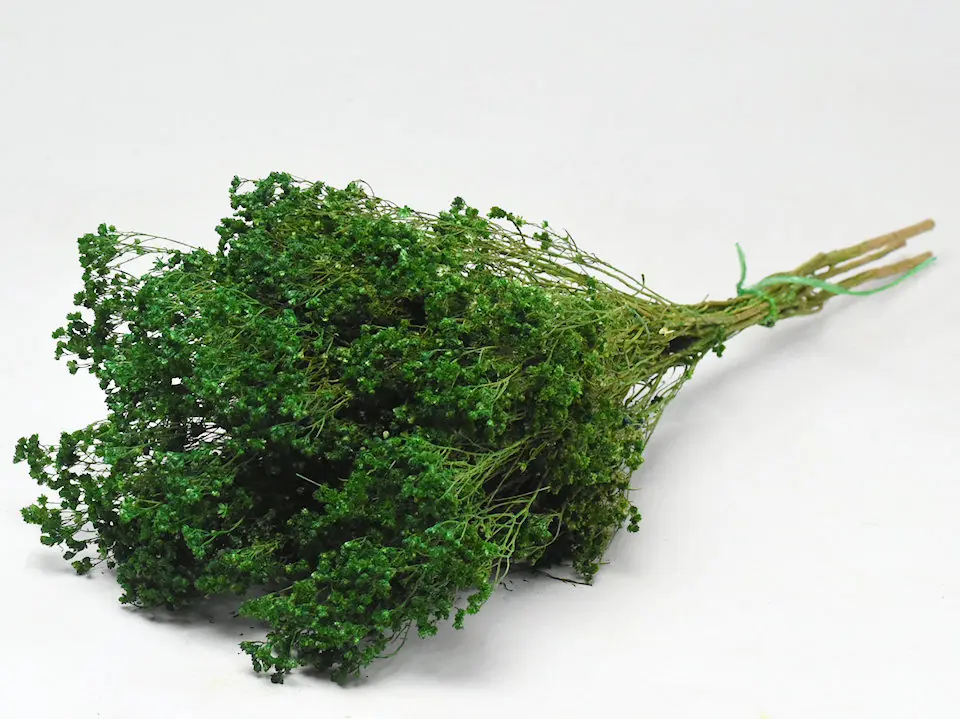 Bouquet Broom bloom Vert 50 cm