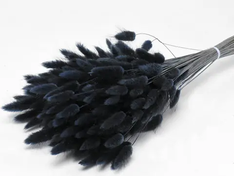 Bouquet Lagurus Noir 65 cm