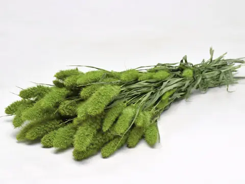 Bouquet Sétaire Vert 65 cm