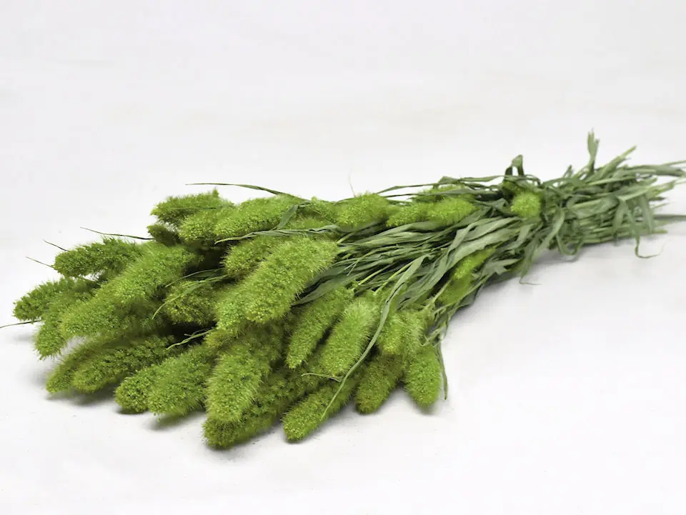 Bouquet Sétaire Vert 65 cm