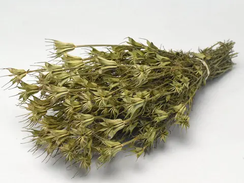 Bouquet Nigella Orientalis 40 cm