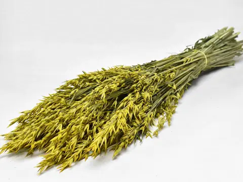 Bouquet Avoine Jaune 70 cm
