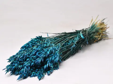 Bouquet Avoine Bleu 70 cm