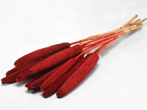 Babala Rouge 10 pièces 70 cm