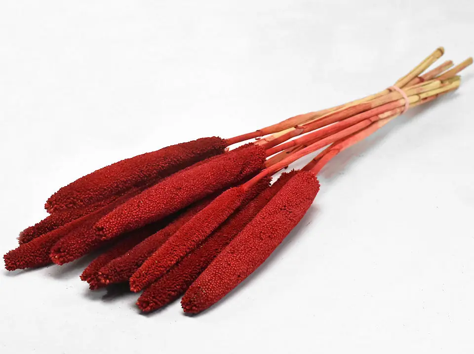 Babala Rouge 10 pièces 70 cm